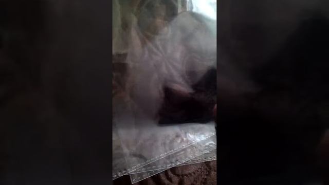 Мои покупки! смотреть онлайн