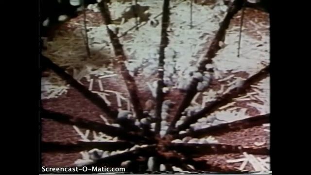 Human “Utopia-Dystopia Feminism Experiment” RedPill ,Mgtow ,Feminism case overview смотреть онлайн