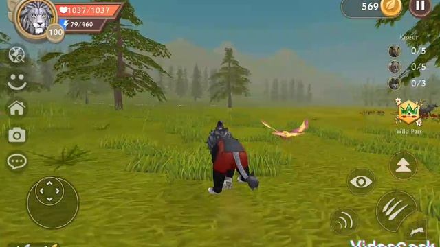 двадцатый уровень Wildpass в Wildcraft