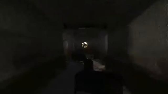S.T.A.L.K.E.R.: Shadow of Chernobyl - Paradise Lost mod DX9 смотреть онлайн