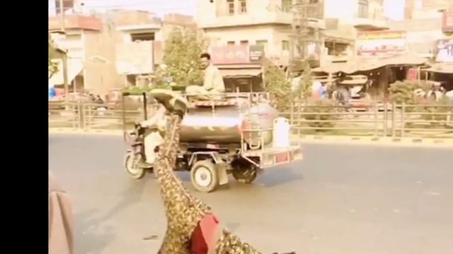 Khana Gymnastic Club Team performance with Ustad Sajid Saab |Soul&Fitness смотреть онлайн