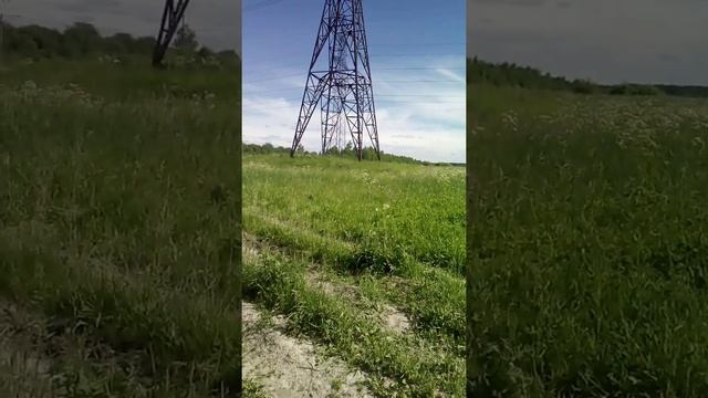 20 июня 2020 г.мой гектар смотреть онлайн