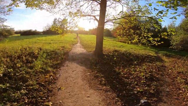 Gravel bike осеннее приключение. relax video смотреть онлайн