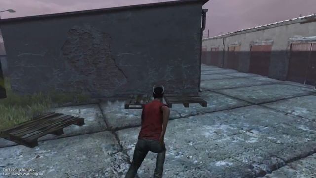 Dayz Standalone 0.60.133913 Client + Server / Free Download смотреть онлайн