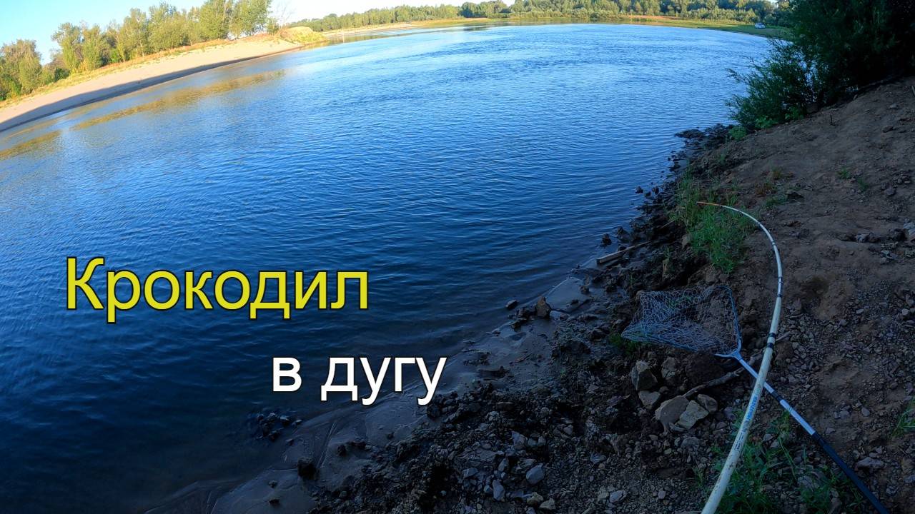 Бешеный клев рыбы. САЗАН гнет крокодилы как тростинки, а ЧЕХОНЬ не дает передохнуть. смотреть онлайн