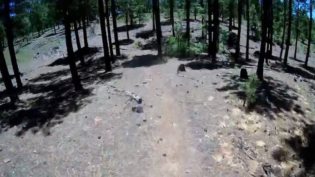 Quaking Aspen and Tampico Springs, NM смотреть онлайн