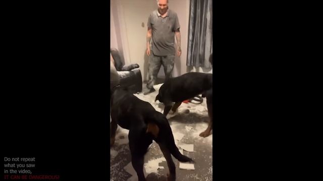 UNUSUAL MEMES COMPILATION V62 (meme.mp4)