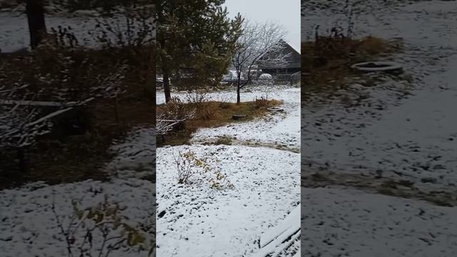 Первый снег смотреть онлайн