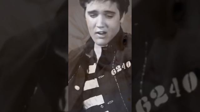 ELVIS🤘🏻🤘🏻🤘🏻