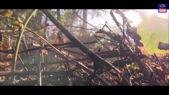 Новороссия бой горит БТР смотреть онлайн