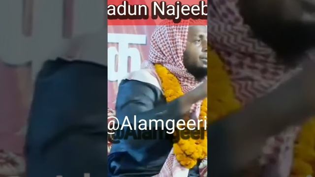 Mufti Sadun Najeeb naat#tranding смотреть онлайн