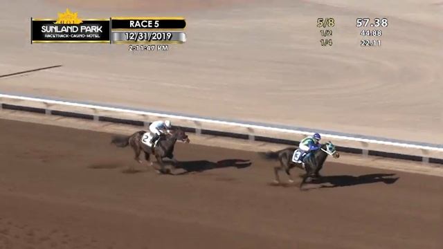 SUNLAND PARK THIS WEEK with Tom Dawson - Week 4 смотреть онлайн