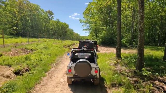 Go Topless Day 2020 смотреть онлайн