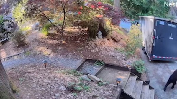 UNUSUAL MEMES COMPILATION V48 (meme.mp4)