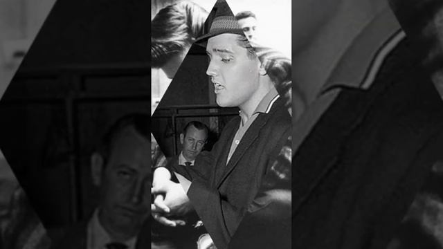 Элвис🌒BluemooonofKentucky🌒