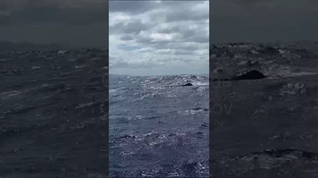 Маврикий. Mauritius. 毛里求斯。 смотреть онлайн