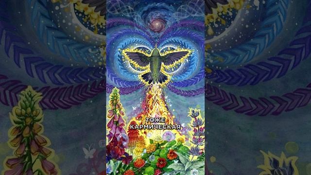 Кармические причины несчастливых отношений смотреть онлайн