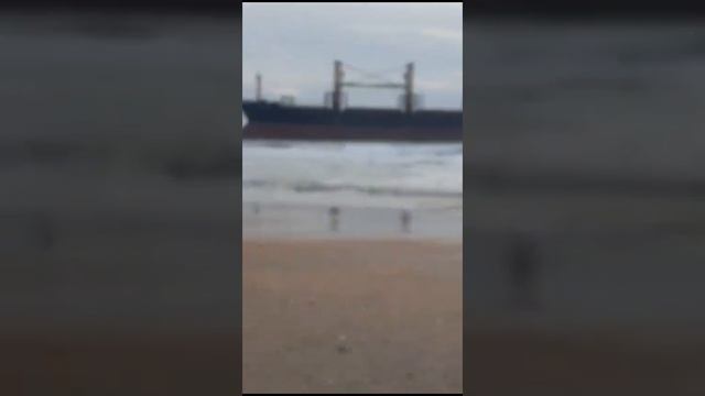 blue shark сел на мель в Анапе смотреть онлайн