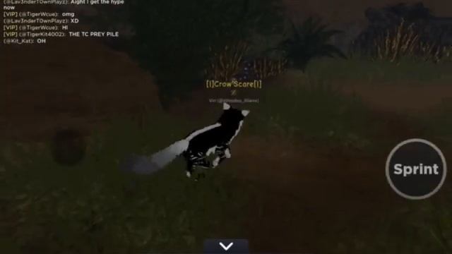 Testing WCUE prey + new map update! With @Tiger_k15 смотреть онлайн