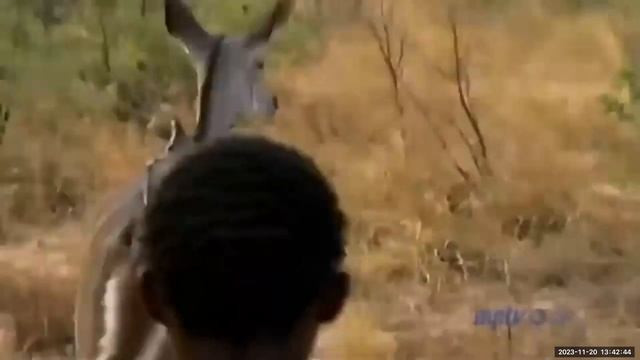 Genus Homo Lecture Part 1 смотреть онлайн