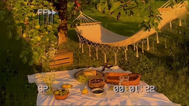 Walking In The Forest On A Sunny Day- A Cottagecore Playlist