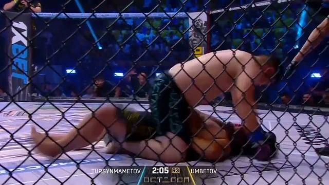 Octagon League Heavyweights Тяжеловесы лигу Октагон