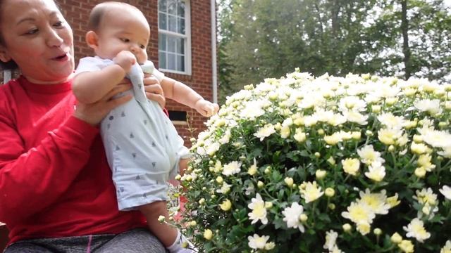 Baby's first visit to the grandparents' house | Vlog | Grilling | Enjoying the outdoors смотреть онлайн