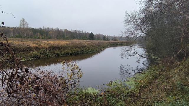 Река Уводь. ч.2. Октябрь 2024 смотреть онлайн
