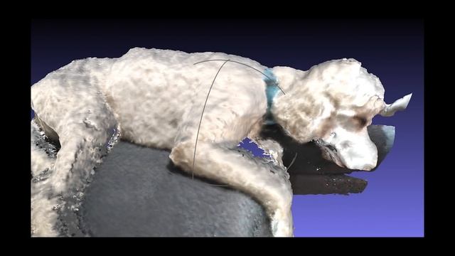 Scandy Pro 3D Scanning—Now On Google Play
