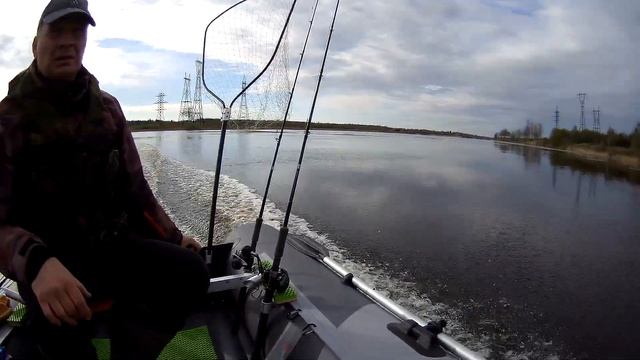 Меркури Ф 8 МЛ на Grouper 335W 200кг смотреть онлайн