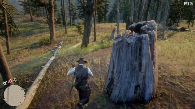 Red Dead Redemption 2: Predator kills it's prey смотреть онлайн
