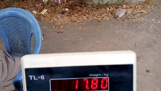 Visit Karachi Zoo, Museum,Snake house, with family. смотреть онлайн