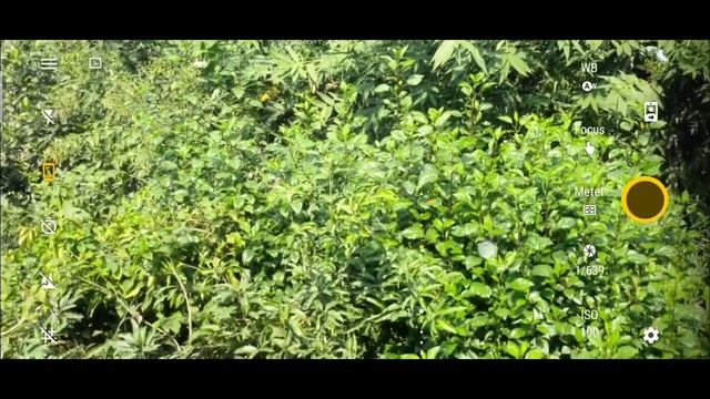 How to Click Photo Like DSLR in Mobile | Android Best Professional DSLR Camera Apps смотреть онлайн