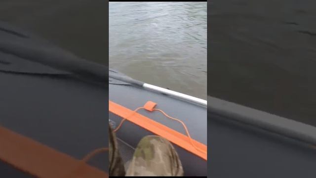 Освоение тролинга. смотреть онлайн