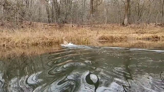 Поздней осенью. смотреть онлайн