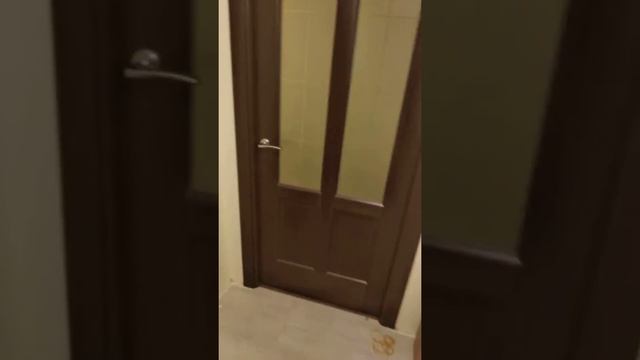 Двери Терминус шпон смотреть онлайн