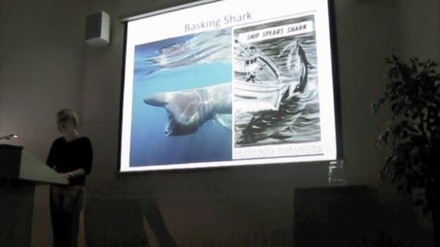 Saving Sharks: Hunter becomes the hunted (Part 1 of 3) смотреть онлайн