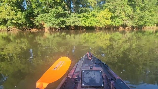 Muddy water fishing in late Summer. смотреть онлайн