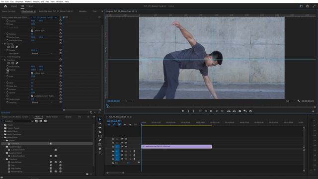 Отслеживание движения объектов в Premiere Pro _ Учебное пособие по Premiere Pro смотреть онлайн