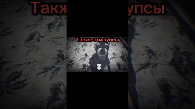 Пупсы☠️ смотреть онлайн
