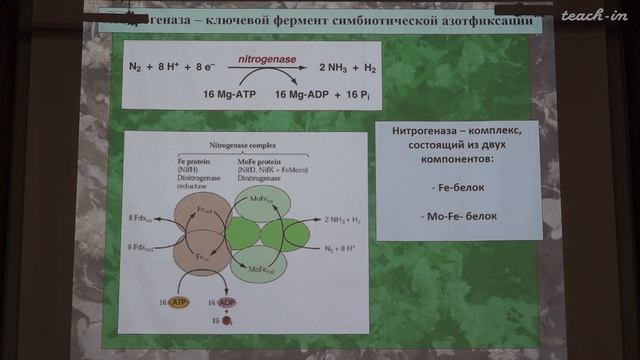 Константинова С.В. - Физиология и биохимия растений - 11. Минеральное питание растений