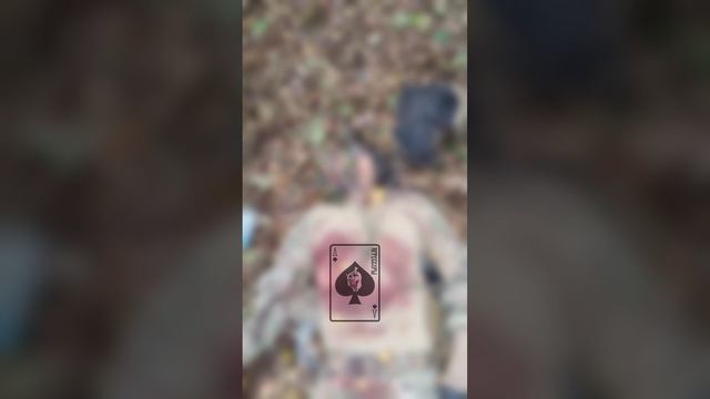 ⚡️СВО 18+ Ещё кадры с дoxлыми намышами в Брянской области смотреть онлайн