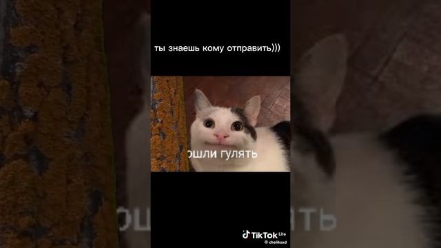 пошли гулять смотреть онлайн