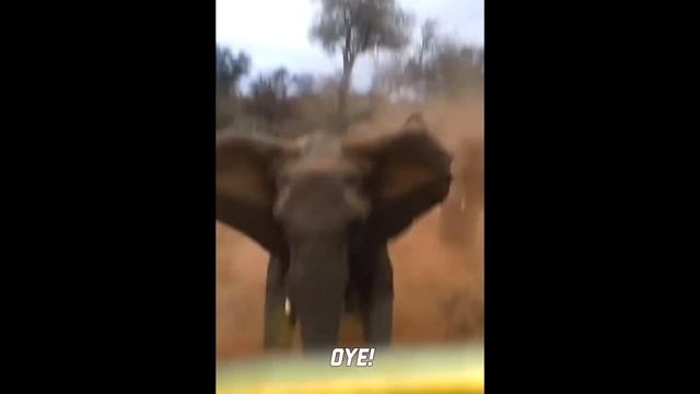 Я_РЖАЛ_ДО_СЛЕЗ,_ЛУЧШИЕ_ПРИКОЛЫ_СМЕШНЫЕ_ВИДЕО,_ПОДБОРКА_ПРИКОЛОВ смотреть онлайн