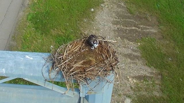 Drone Flight to Bird of Prey's Nest смотреть онлайн