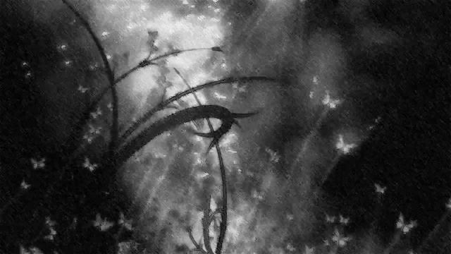 【ラップ】prey【Silent one's words】 смотреть онлайн