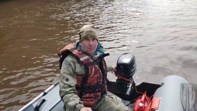 Grouper 335 W. смотреть онлайн