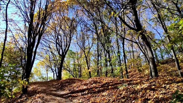 Коломенское. 10.10.2022 г. смотреть онлайн