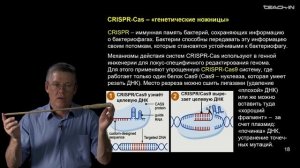 Дубынин В.А.-100 часов школьной биологии -2.23.Биотехнологические модификации и селекция организмов