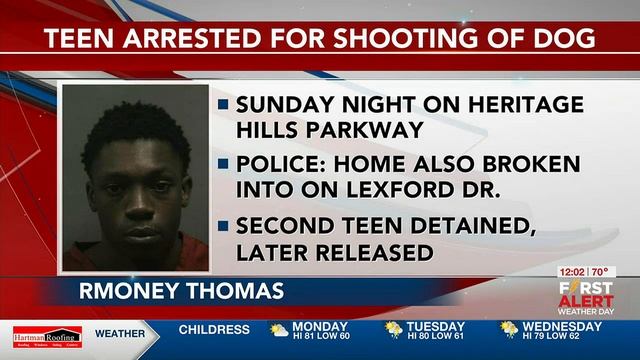 VIDEO: Amarillo police: 1 arrested after shooting dog, trespassing home on Sunday morning смотреть онлайн
